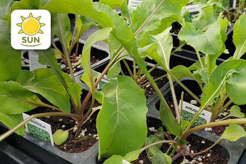 multicolumns-item-image-1