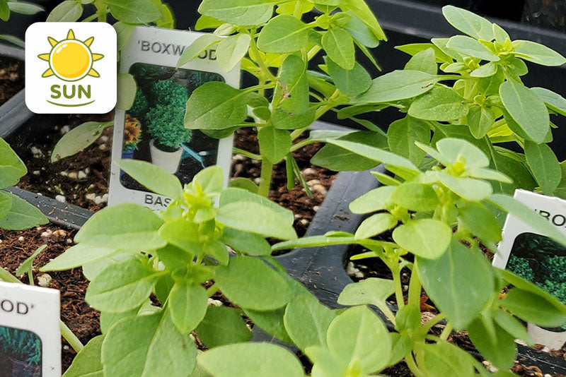 multicolumns-item-image-2