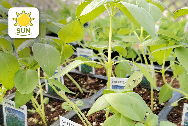 multicolumns-item-image-3