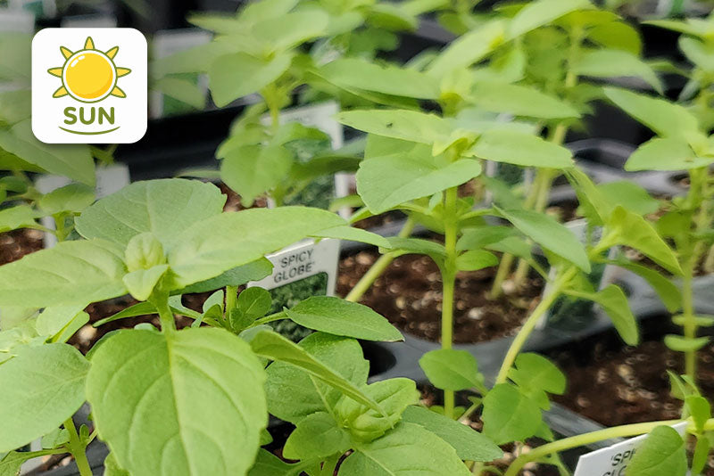 multicolumns-item-image-5