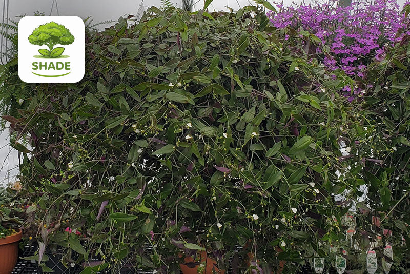 multicolumns-item-image-9