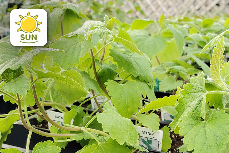 multicolumns-item-image-7