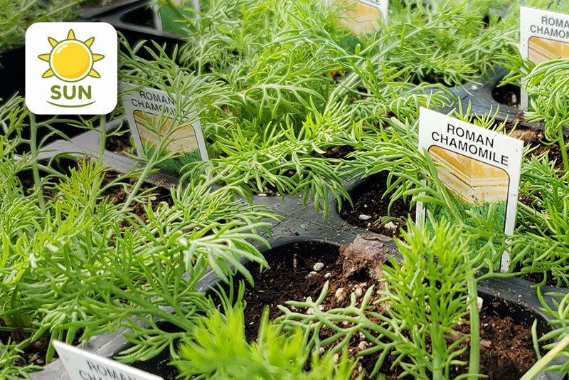 multicolumns-item-image-8