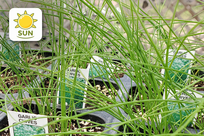 multicolumns-item-image-9