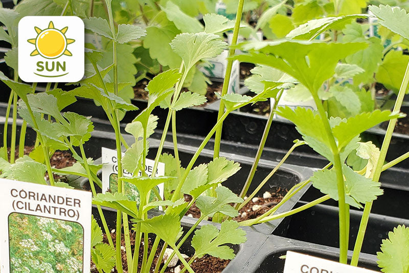 multicolumns-item-image-10