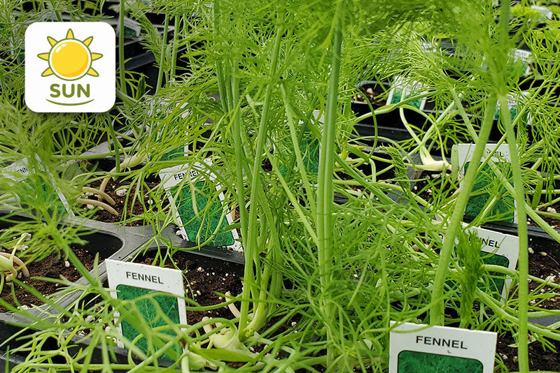 multicolumns-item-image-12