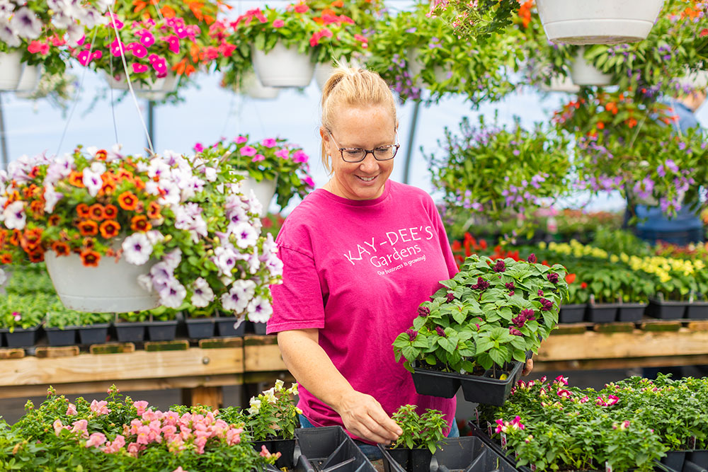 KayDee's Gardens - Your One Stop Garden Shop In Grand Rapids MI