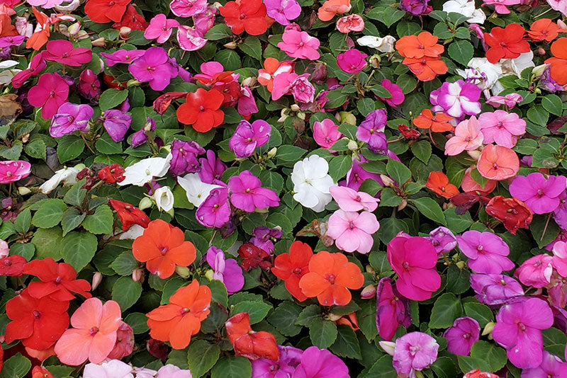 multicolumns-item-image-17