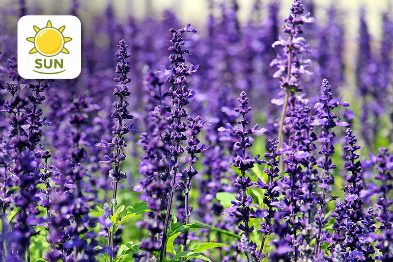 multicolumns-item-image-13