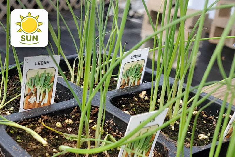 multicolumns-item-image-14