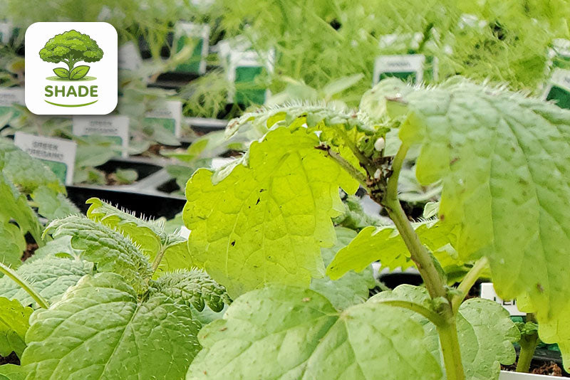 multicolumns-item-image-15