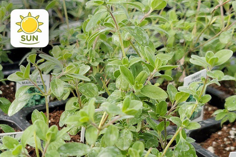 multicolumns-item-image-17