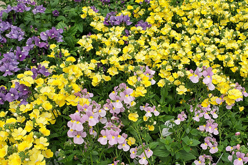 multicolumns-item-image-30