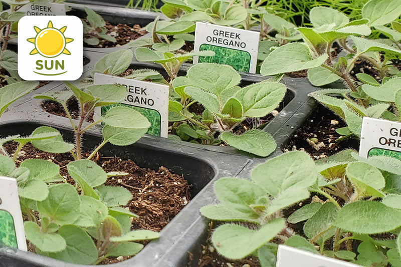 multicolumns-item-image-18