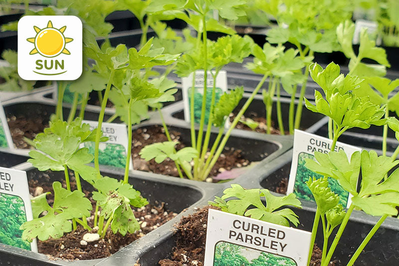 multicolumns-item-image-19