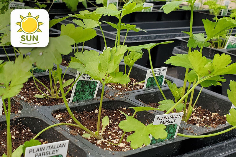 multicolumns-item-image-20