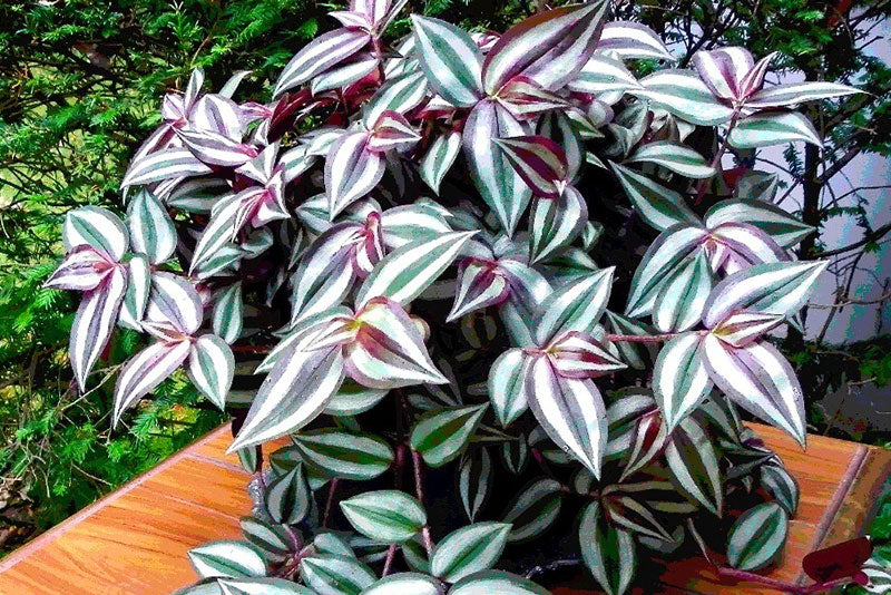 multicolumns-item-image-24
