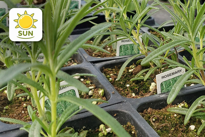 multicolumns-item-image-22