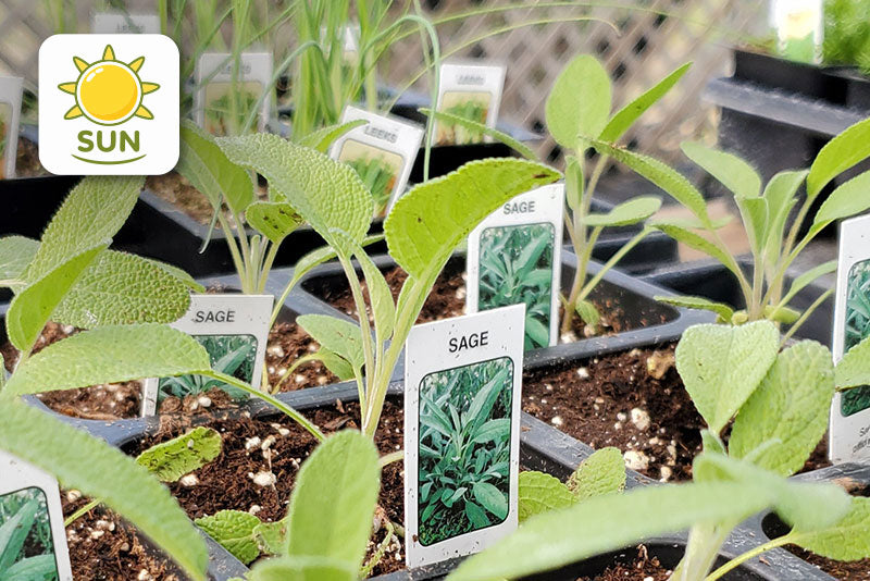 multicolumns-item-image-23