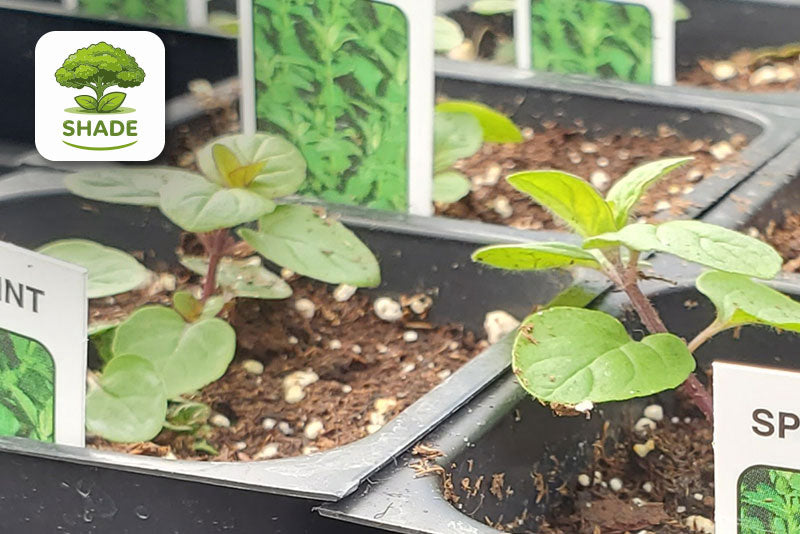 multicolumns-item-image-24