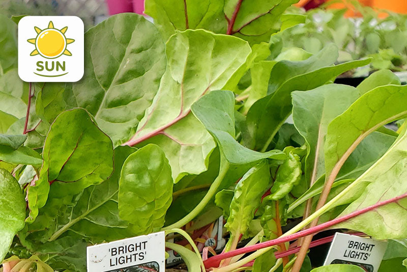 multicolumns-item-image-25