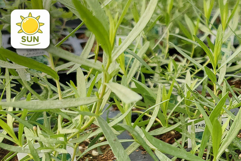 multicolumns-item-image-26