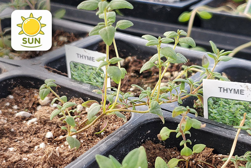 multicolumns-item-image-27