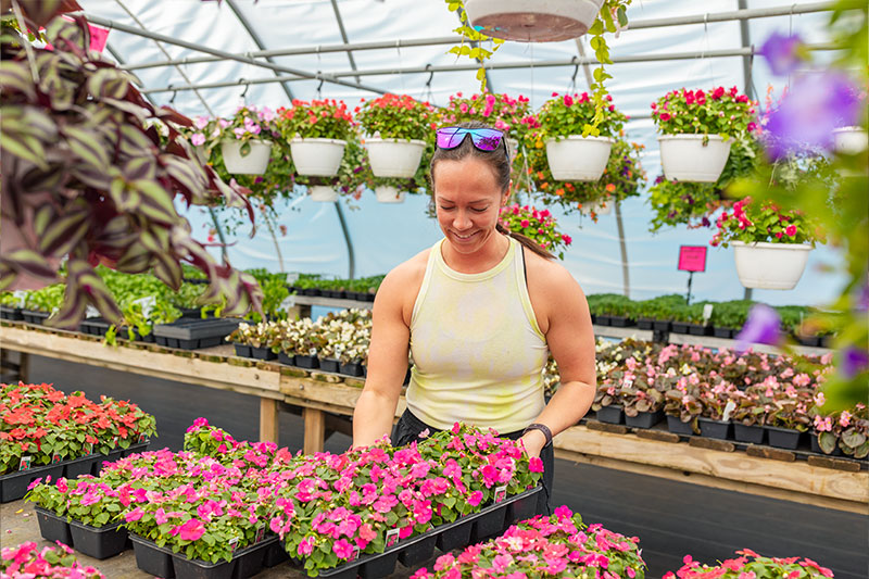 Our Roots – KayDee's Gardens