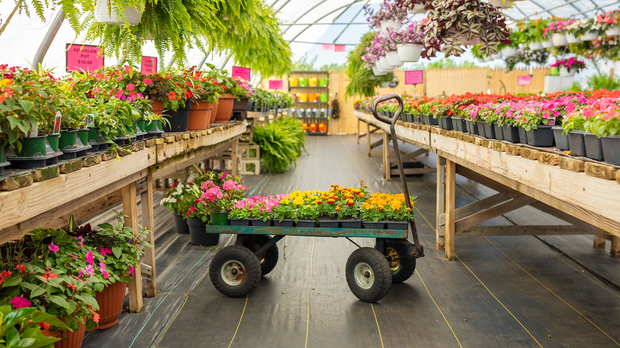 Our Roots – KayDee's Gardens